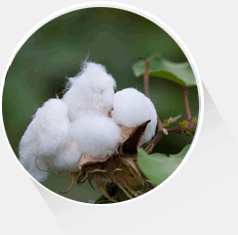 Natural, pollution-free sources